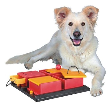 Dog Activity Poker Box - Level 2